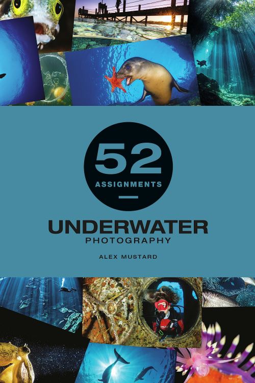 Underwater Photography