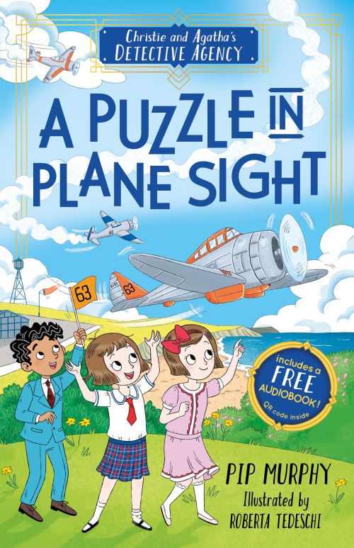 A Puzzle in Plane Sight