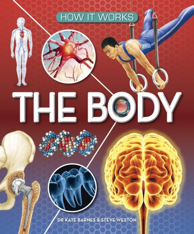 The Body