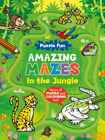 Puzzle Fun Amazing Mazes