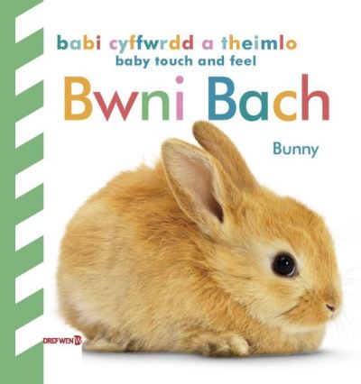 Bwni Bach