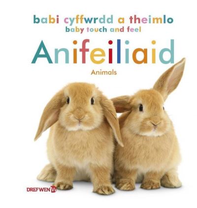 Anifeiliaid