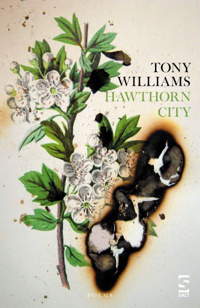 Hawthorn City