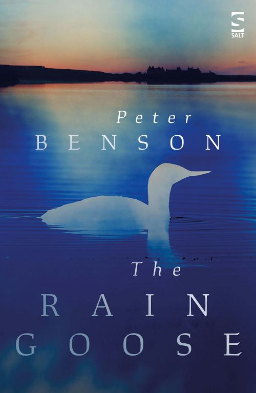 The Rain Goose