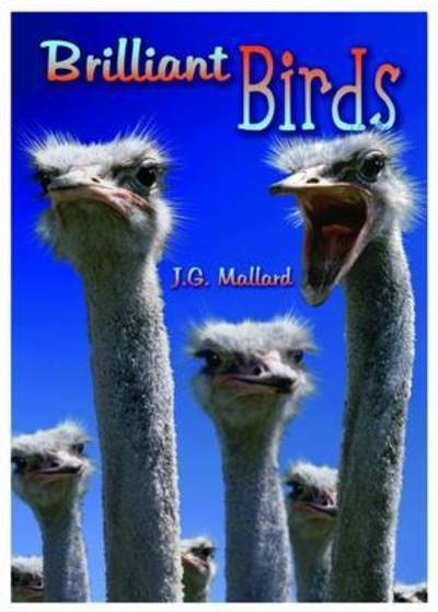 Brilliant Birds