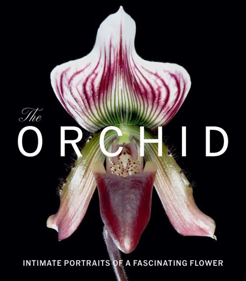 The Orchid