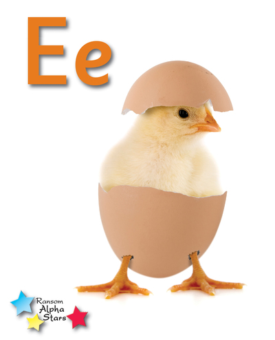 Ee