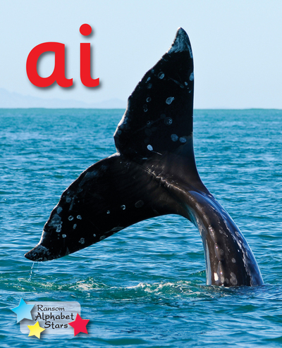 Ai