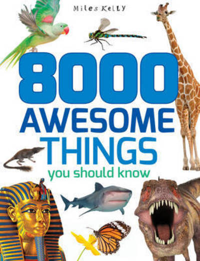 8000 Awesome Things You Should Know
