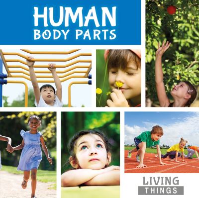 Human Body Parts