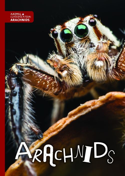 Arachnids