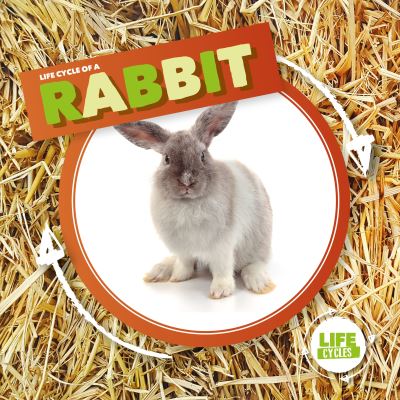 Life Cycle of a Rabbit