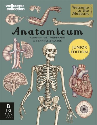 Anatomicum