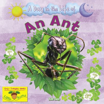 A Day in the Life of an Ant