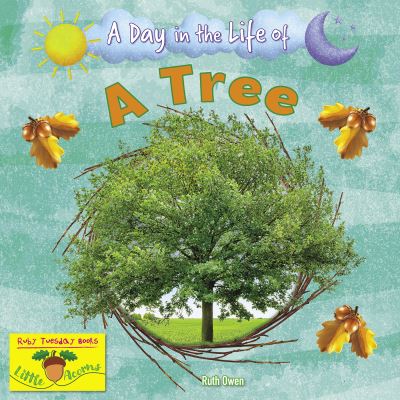 A Day in the Life of a Tree