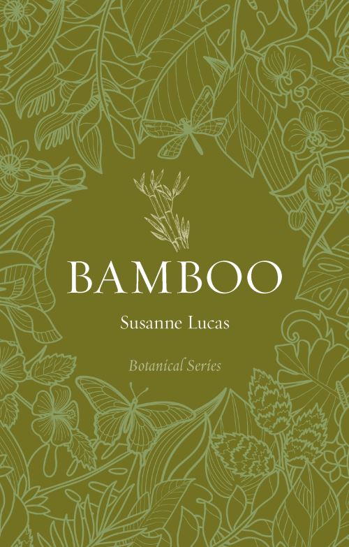 Bamboo