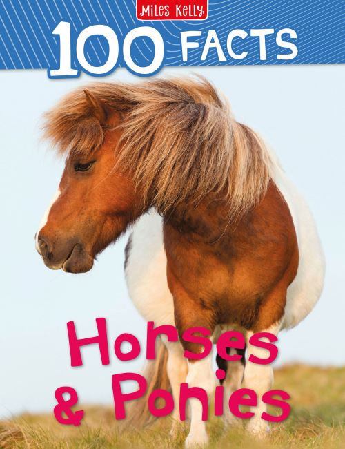 Horses and Ponies