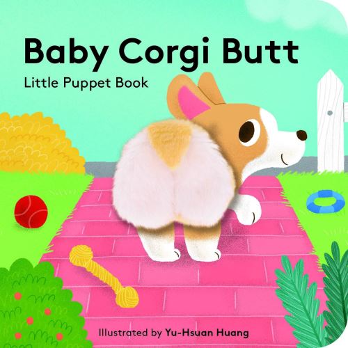Baby Corgi Butt