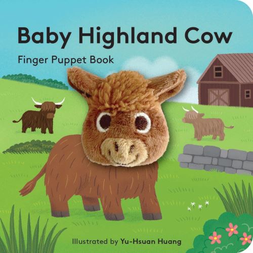 Little Highland Cow