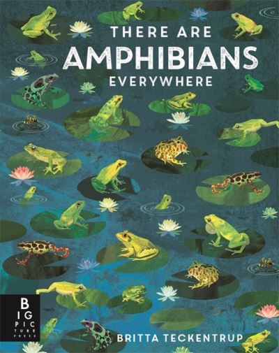 There Are Amphibians Everywhere
