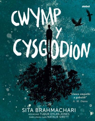 Pan Ddaw Cysgodion