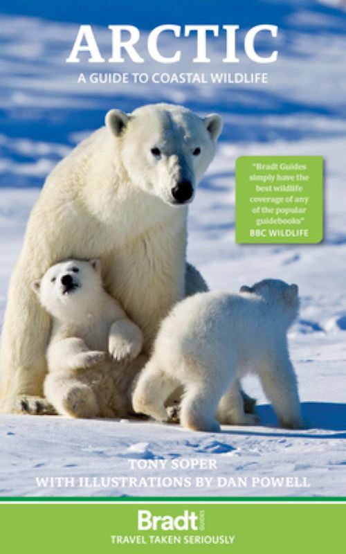 The Arctic