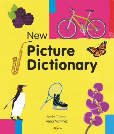 New Picture Dictionary
