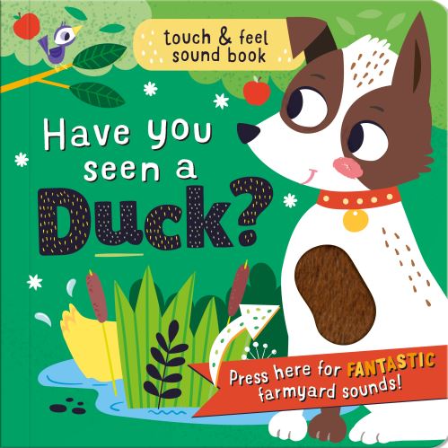 Have You Seen a Duck?