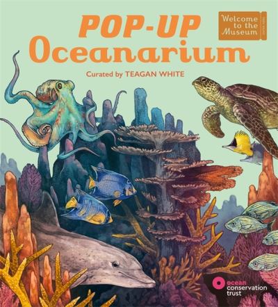 Pop-Up Oceanarium