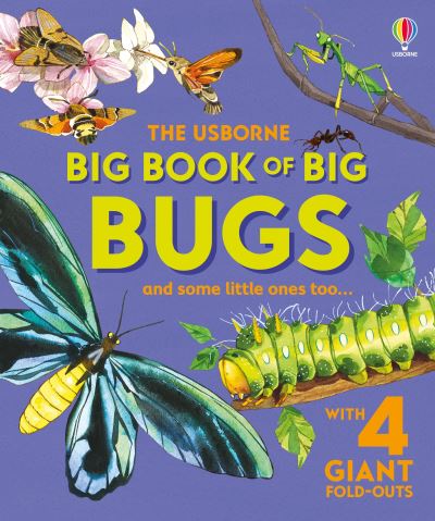 The Usborne Big Book of Bugs
