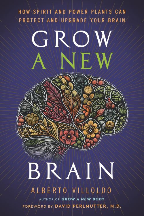 Grow a New Brain
