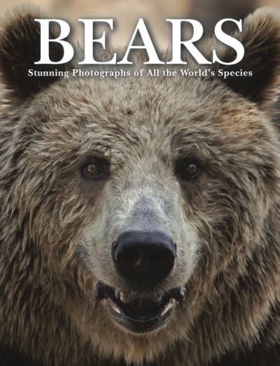 Bears