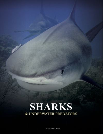Sharks & Underwater Predators