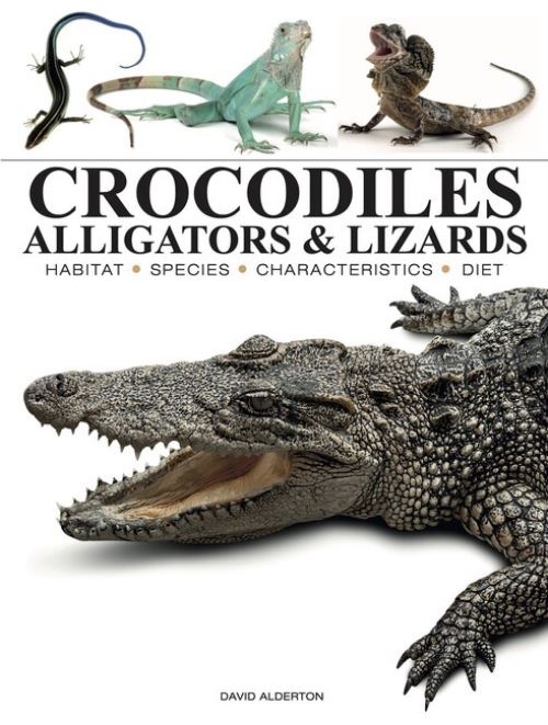 Crocodiles, Alligators & Lizards