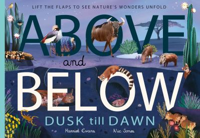 Above and Below. Dusk Till Dawn