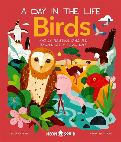 Birds