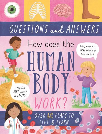 How Does the Human Body Work?