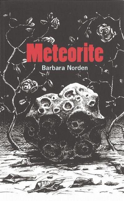 Meteorite
