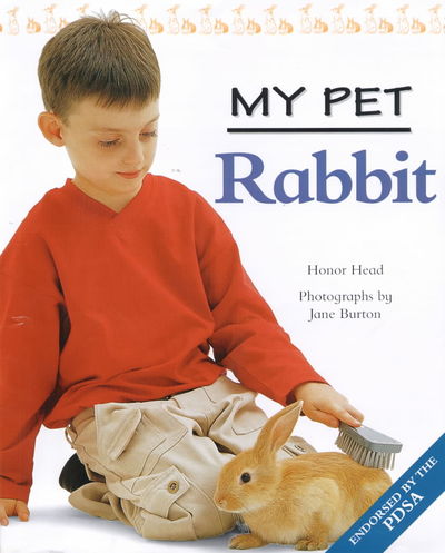 Rabbit