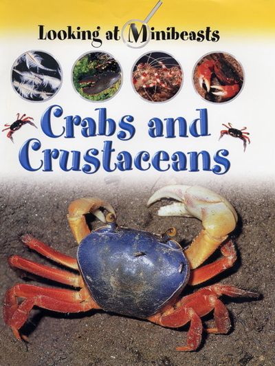 Crabs and Crustaceans