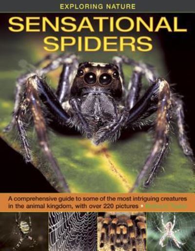 Sensational Spiders