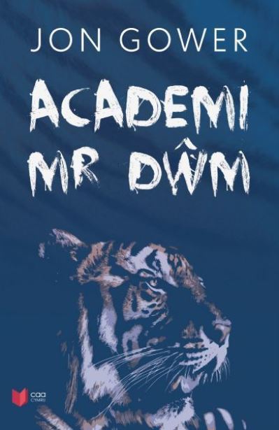 Academi Mr DÒwm