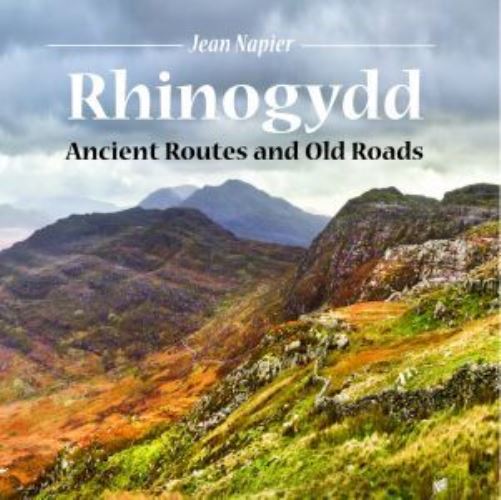 Rhinogydd