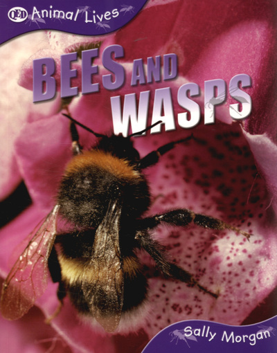 Bees and Wasps
