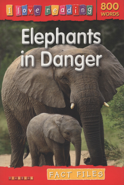 Elephants in Danger