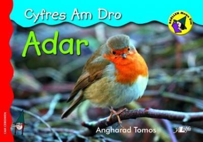 Adar