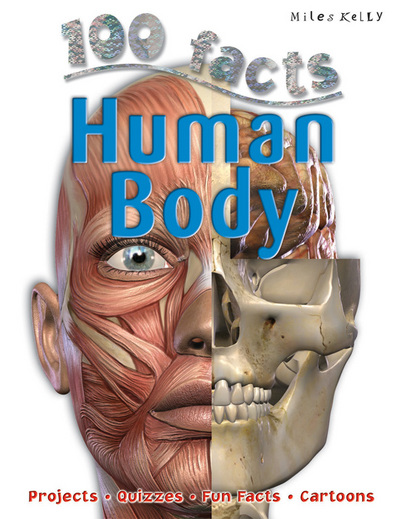 Human Body