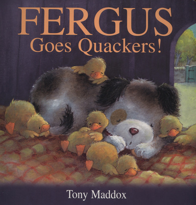 Fergus Goes Quackers!