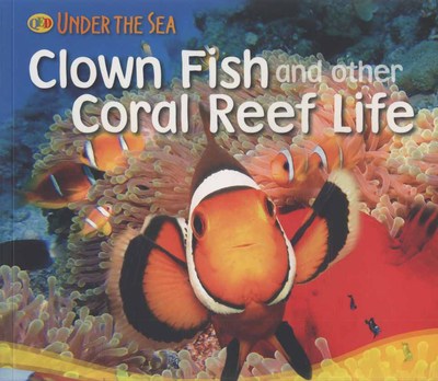 Clown Fish and Other Coral Reef Life