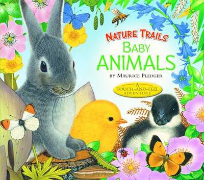 Baby Animals